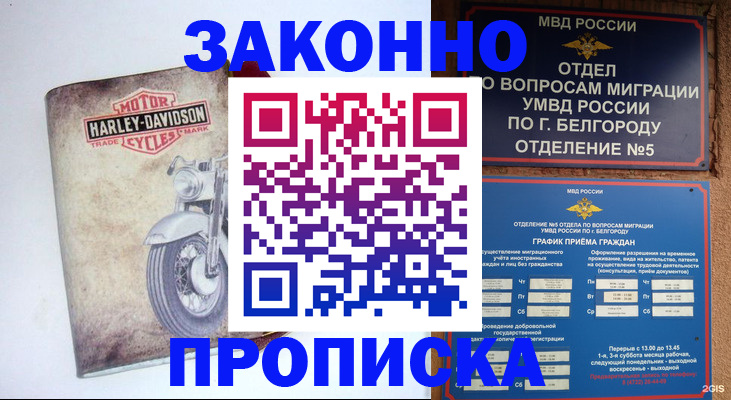 прописка для школы в Дивногорске